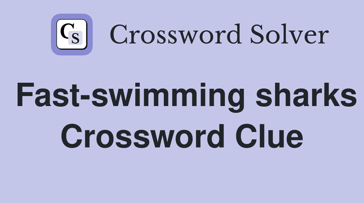 Fast-swimming sharks Crossword Clue