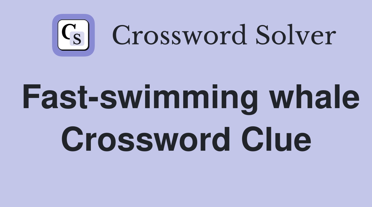 Fast-swimming whale Crossword Clue