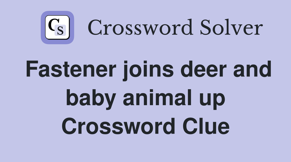 Fastener joins deer and baby animal up Crossword Clue