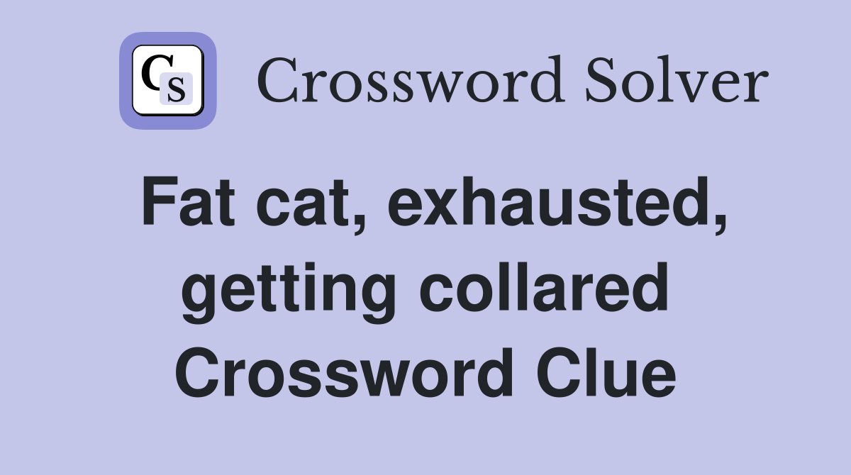 Fat cat, exhausted, getting collared Crossword Clue