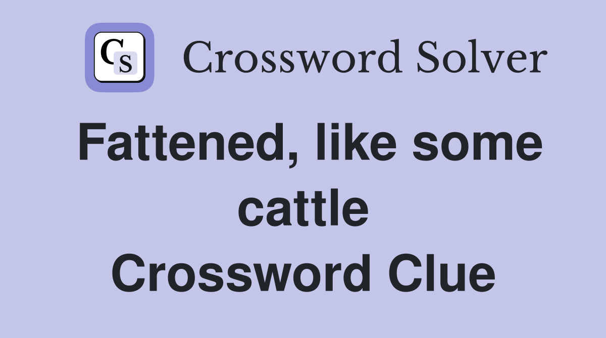 Fattened, like some cattle Crossword Clue