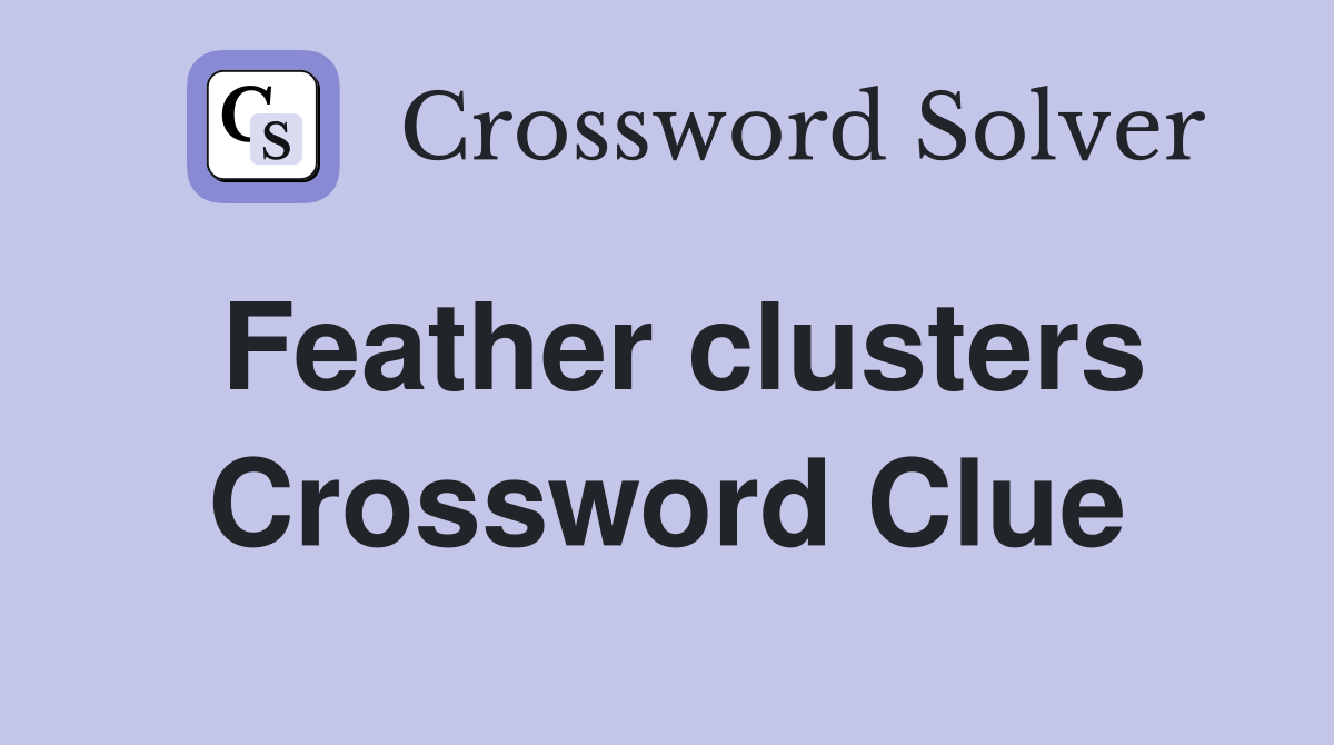 Feather clusters Crossword Clue