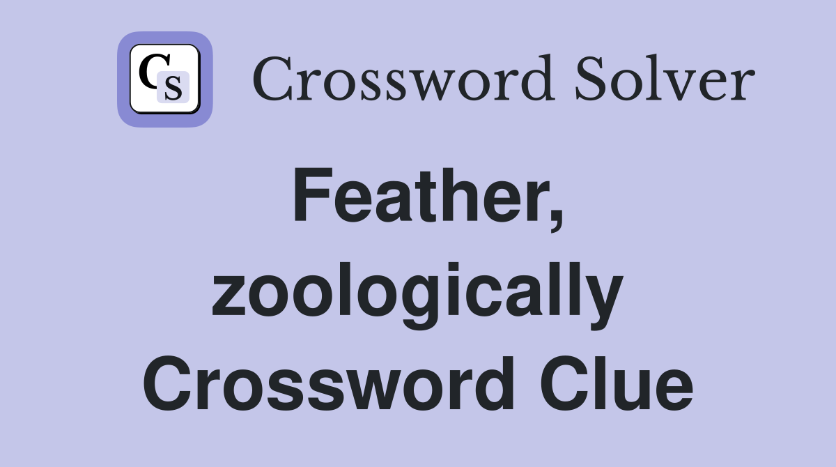 Feather, zoologically Crossword Clue
