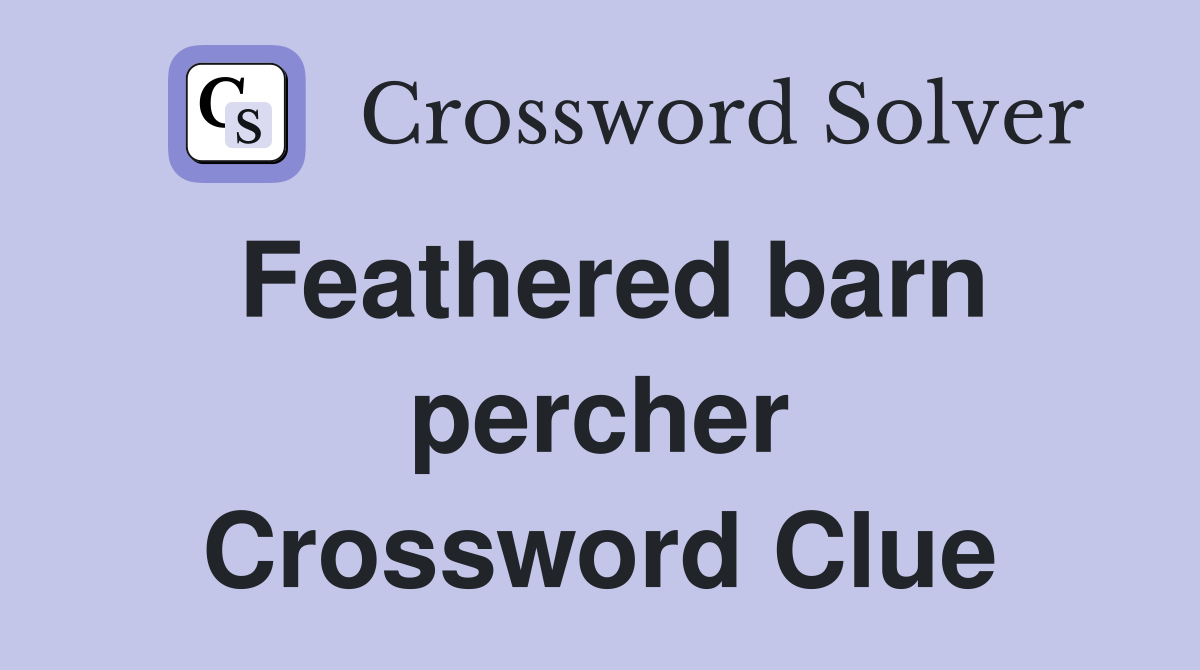 Feathered barn percher Crossword Clue