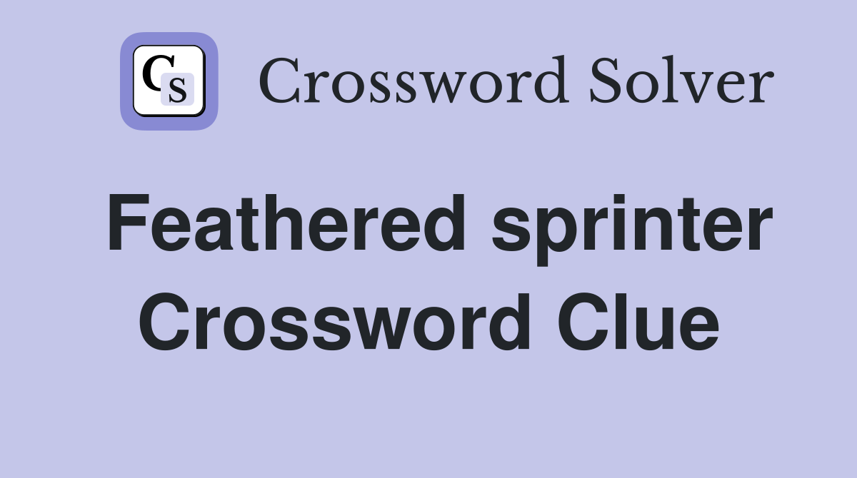 Feathered sprinter Crossword Clue