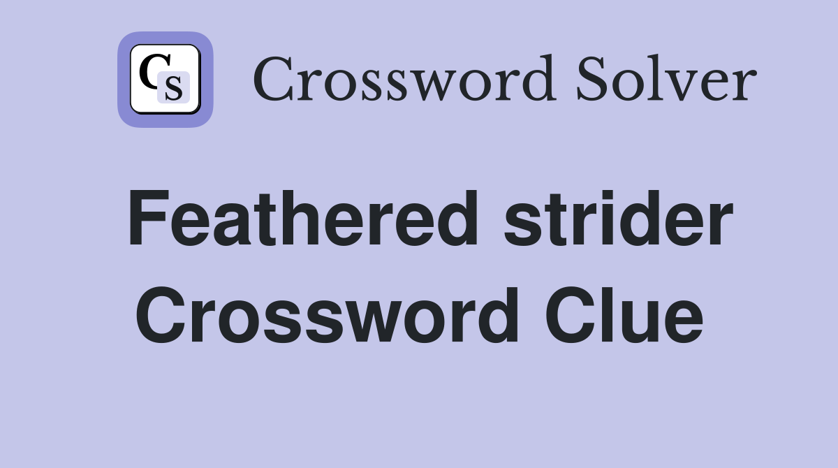 Feathered strider Crossword Clue