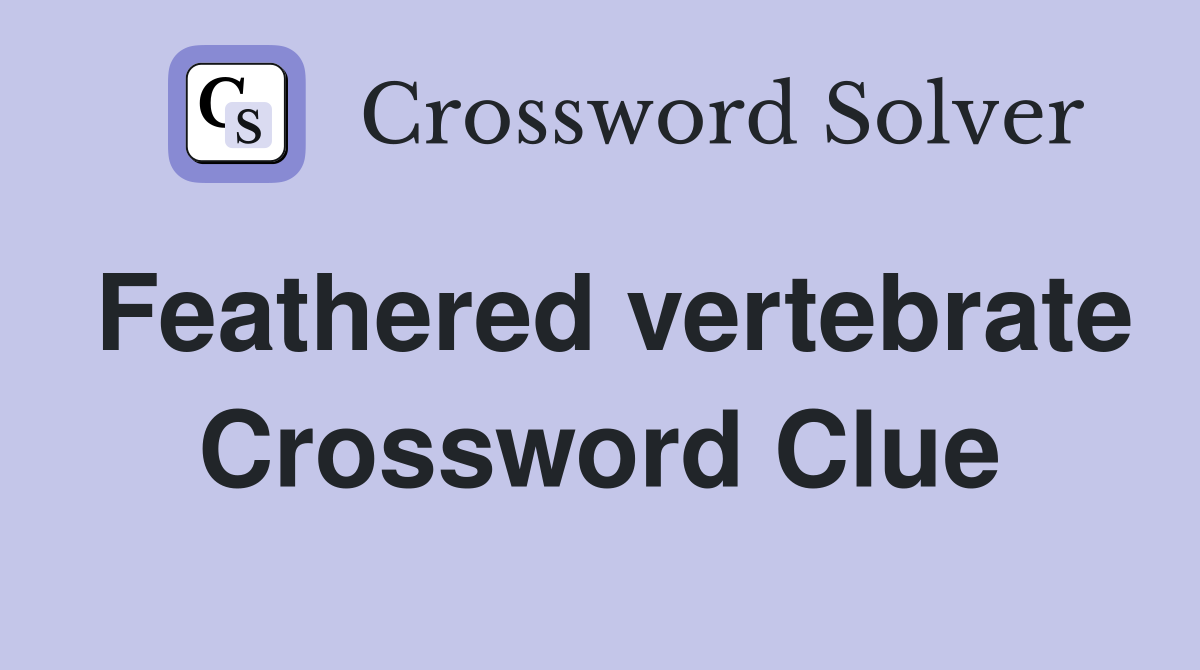 Feathered vertebrate Crossword Clue