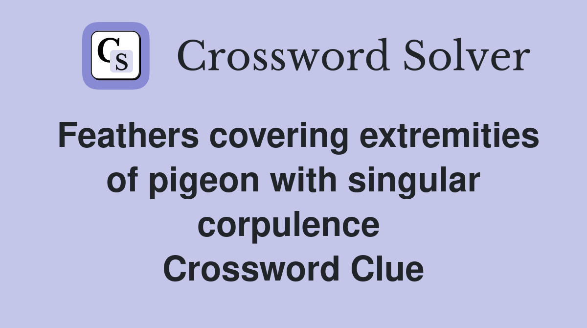 Feathers covering extremities of pigeon with singular corpulence  Crossword Clue
