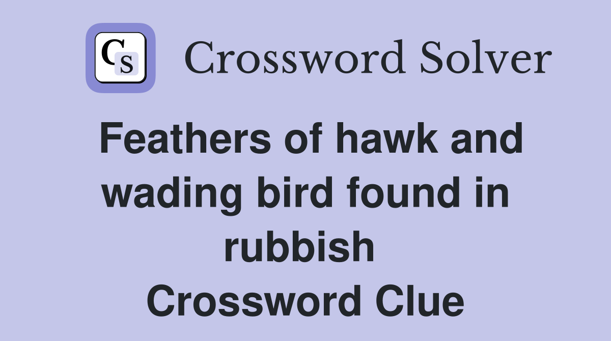 Feathers of hawk and wading bird found in rubbish  Crossword Clue