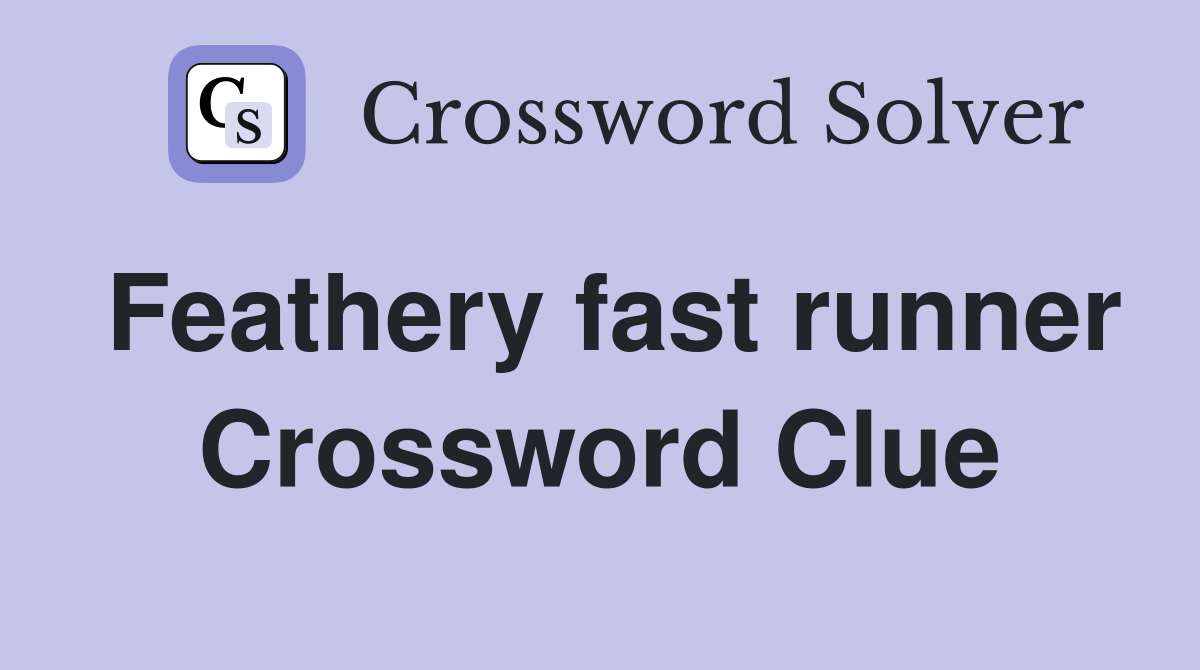 Feathery fast runner Crossword Clue