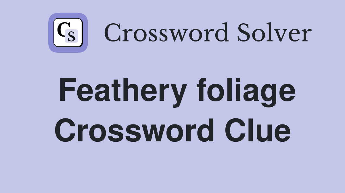 Feathery foliage Crossword Clue