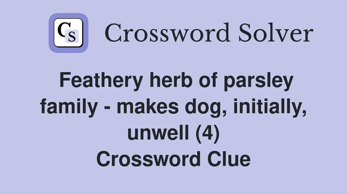 Feathery herb of parsley family - makes dog, initially, unwell (4) Crossword Clue