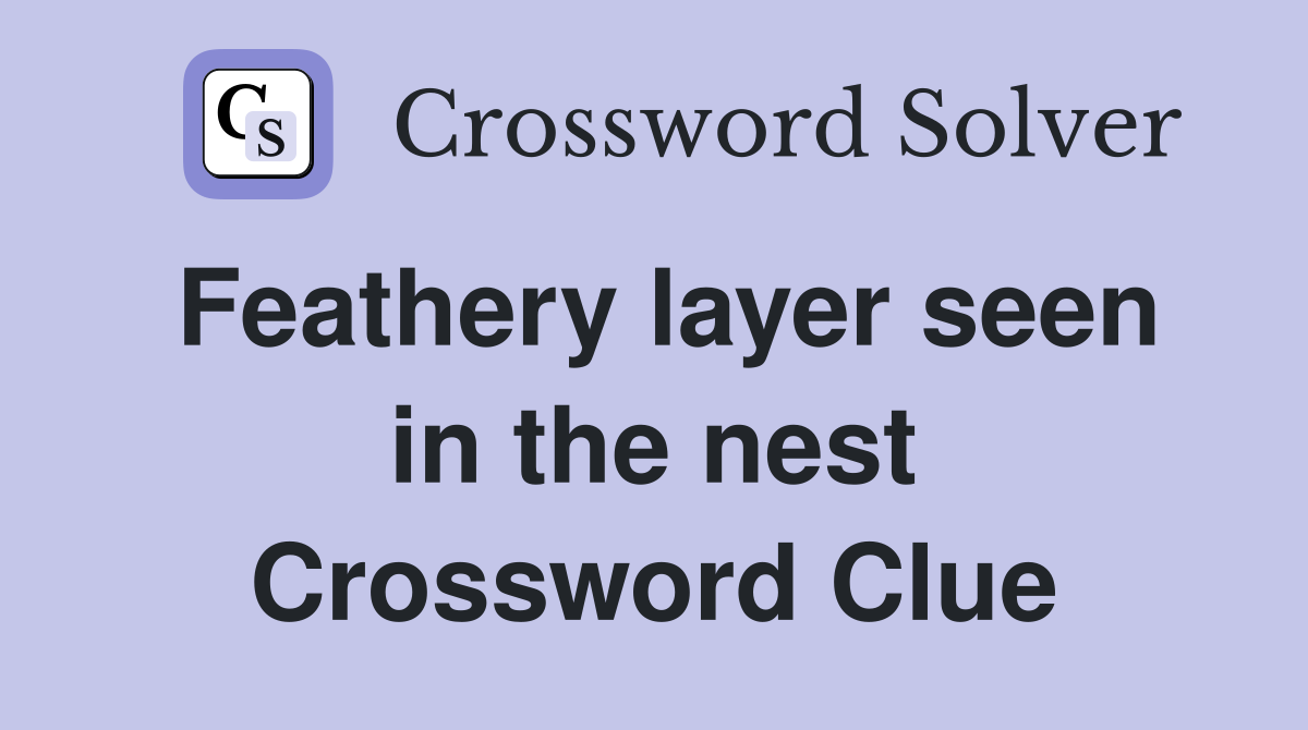Feathery layer seen in the nest Crossword Clue