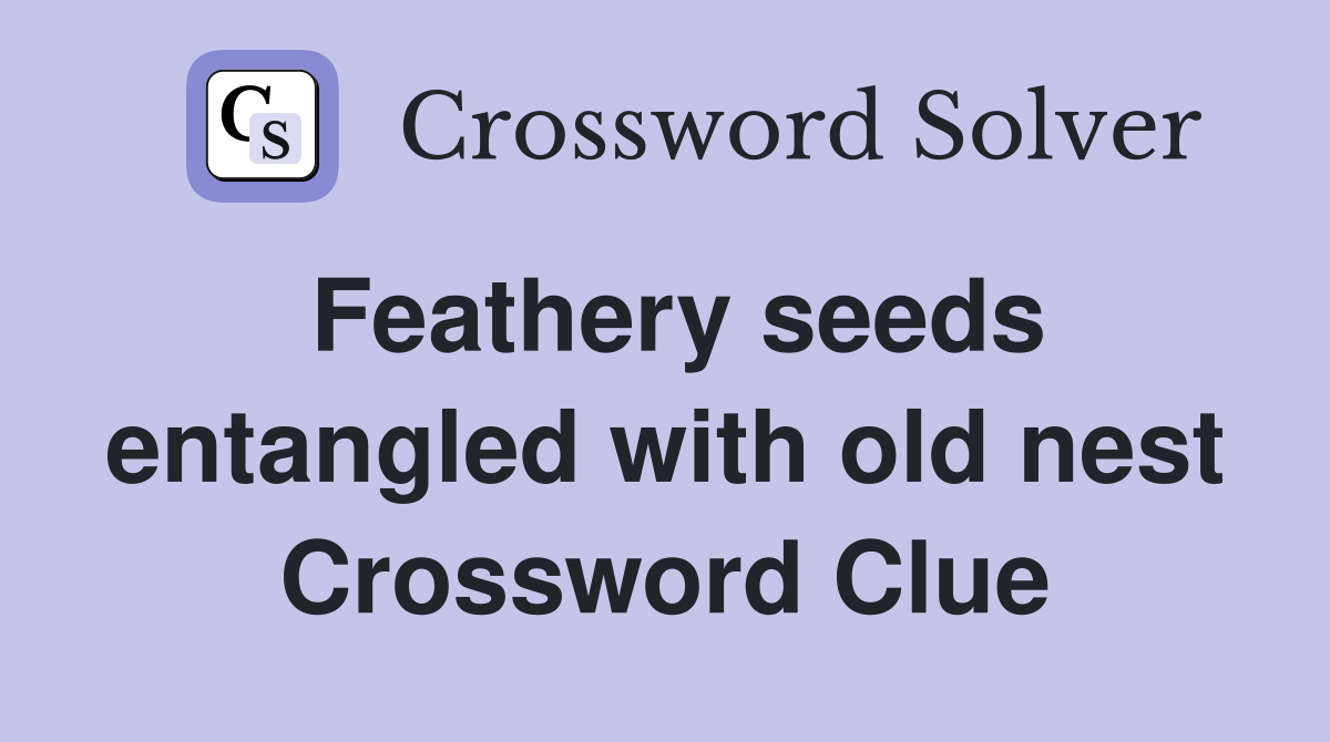 Feathery seeds entangled with old nest Crossword Clue