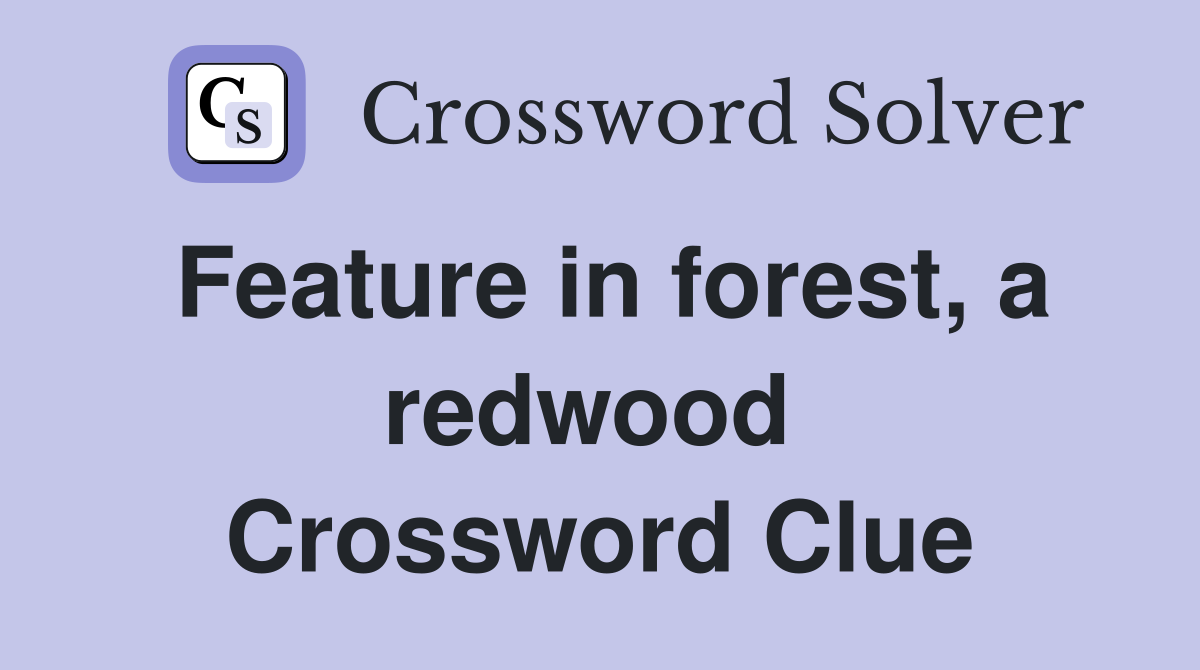 Feature in forest, a redwood  Crossword Clue