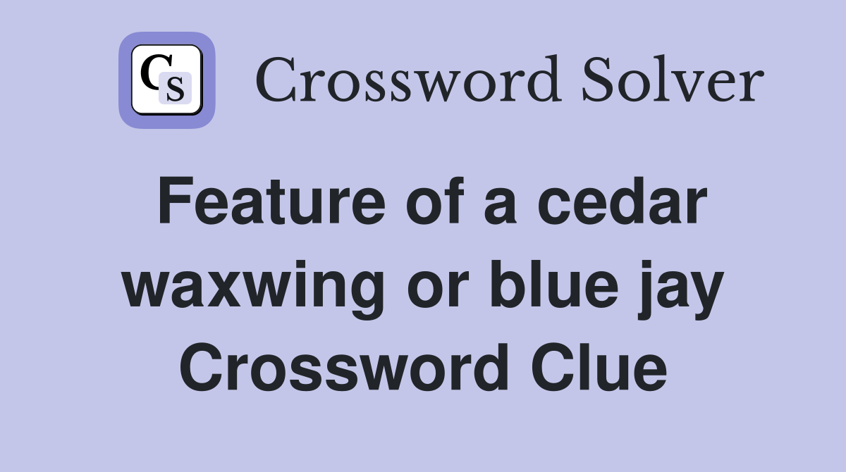 Feature of a cedar waxwing or blue jay Crossword Clue