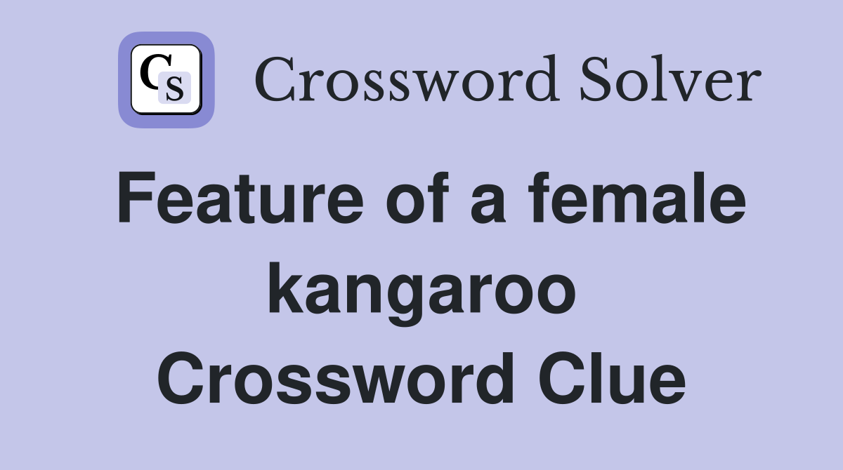 Feature of a female kangaroo Crossword Clue