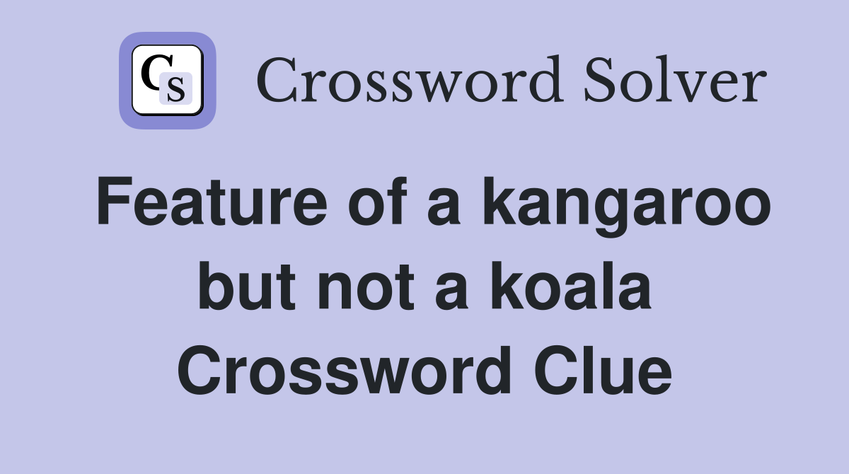 Feature of a kangaroo but not a koala Crossword Clue