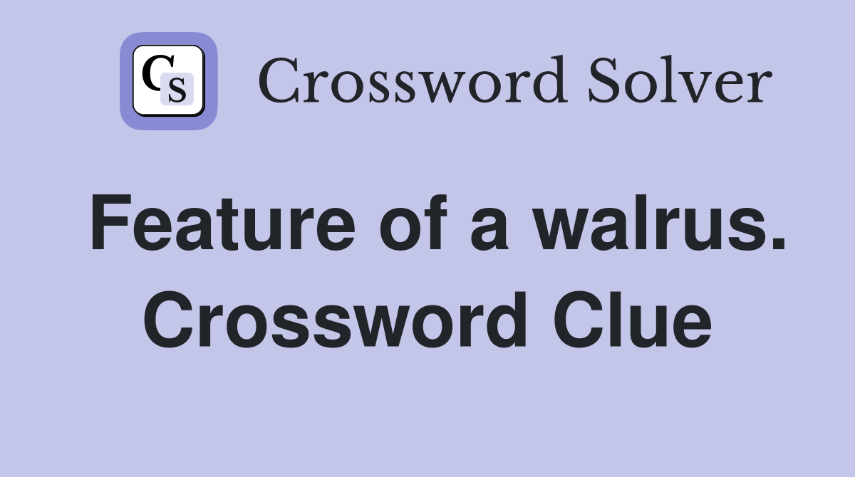 Feature of a walrus. Crossword Clue