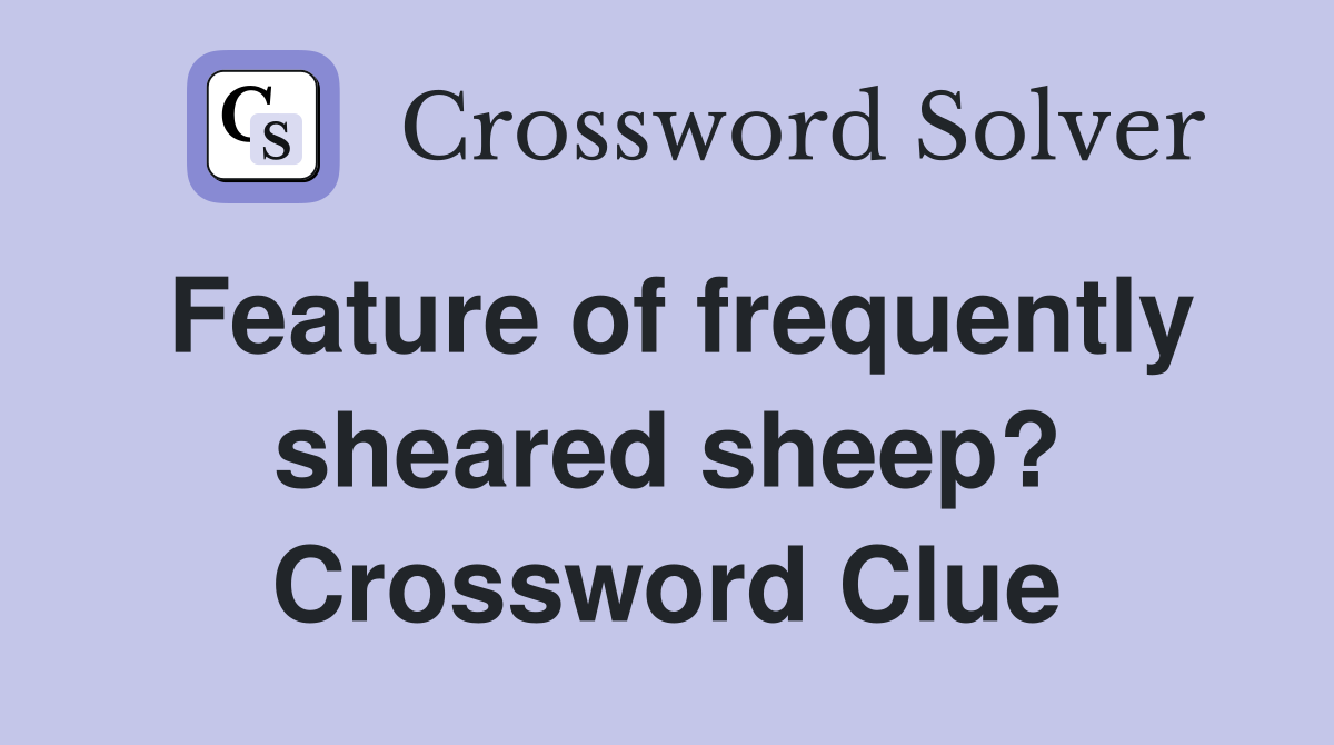 Feature of frequently sheared sheep? Crossword Clue