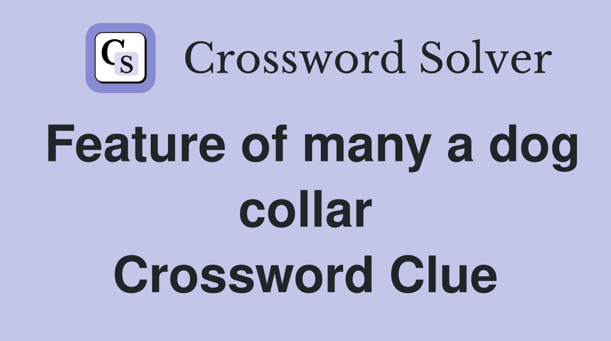 Feature of many a dog collar Crossword Clue