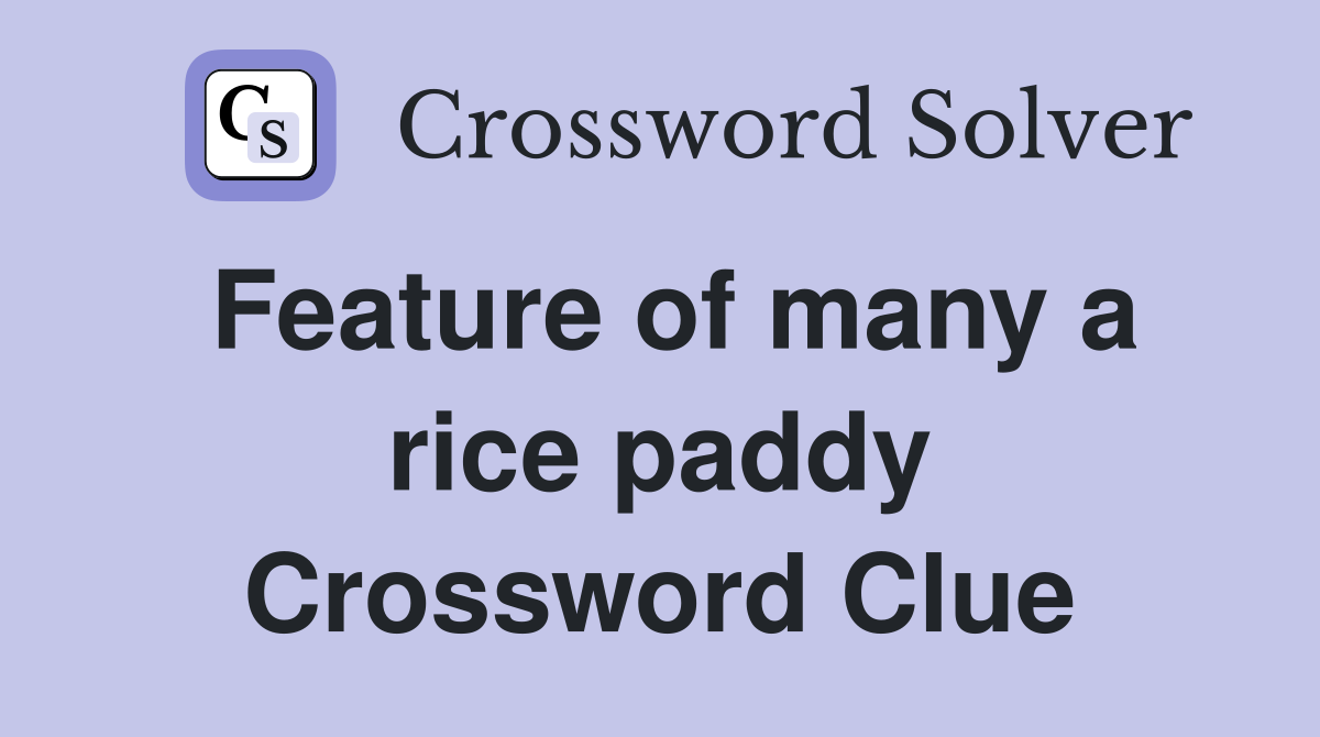 Feature of many a rice paddy Crossword Clue