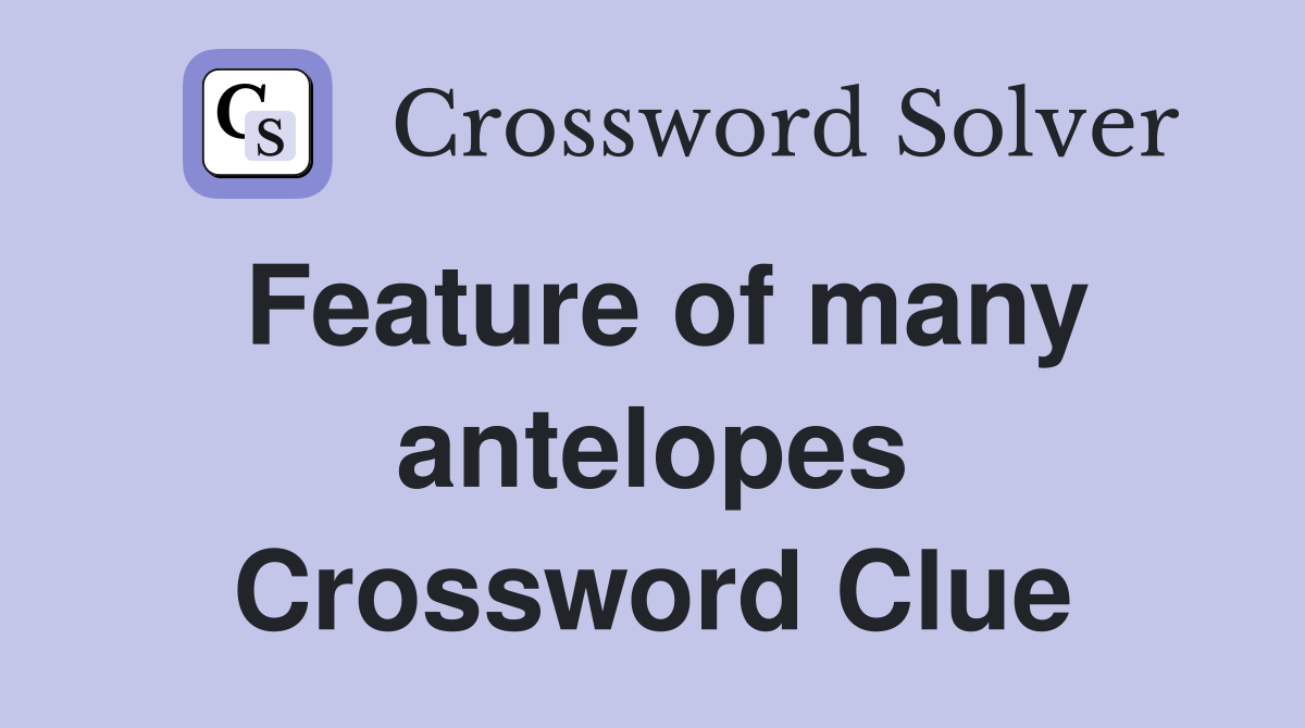 Feature of many antelopes Crossword Clue