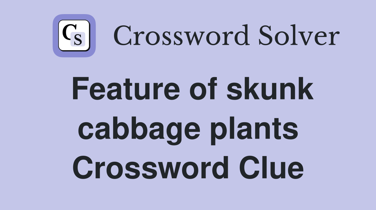 Feature of skunk cabbage plants Crossword Clue