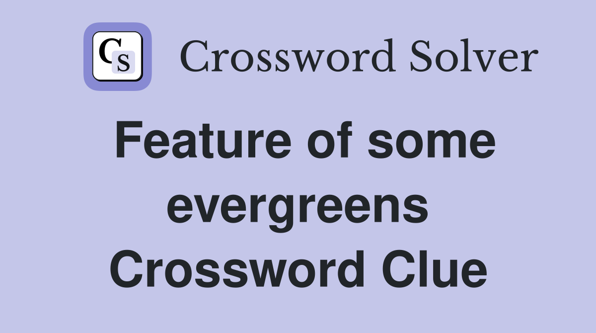 Feature of some evergreens Crossword Clue