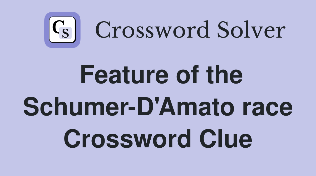 Feature of the Schumer-D'Amato race Crossword Clue