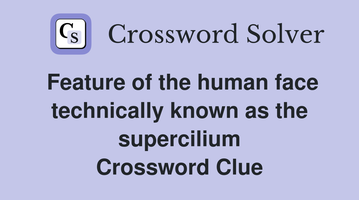 Feature of the human face technically known as the supercilium Crossword Clue