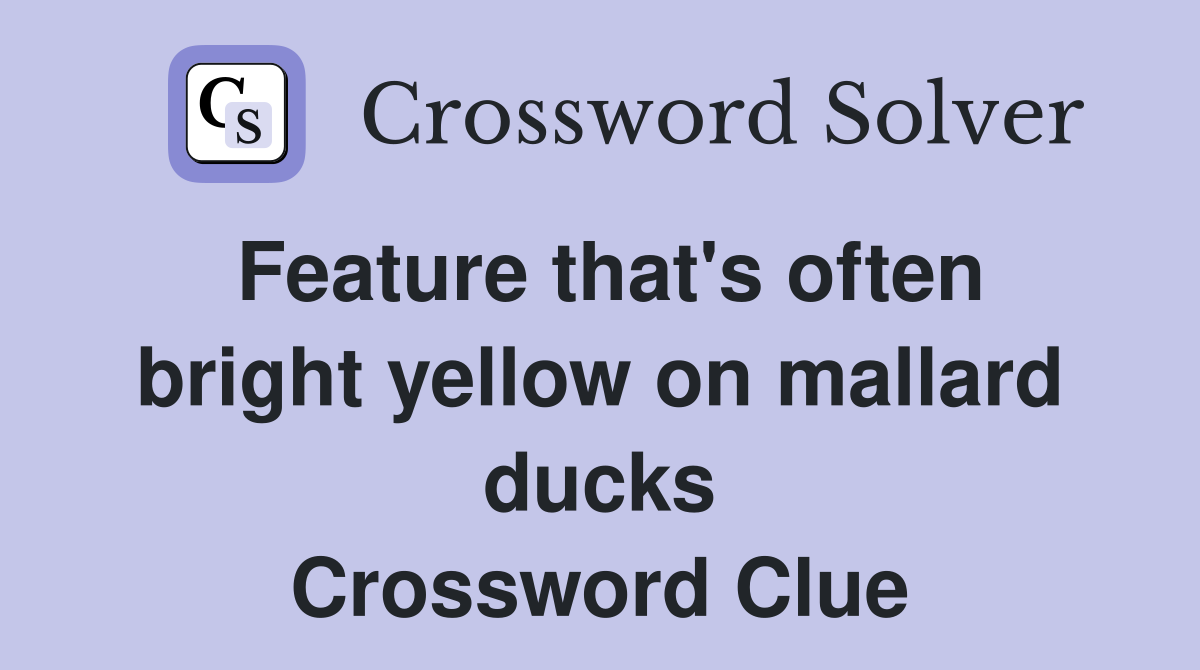 Feature that's often bright yellow on mallard ducks Crossword Clue