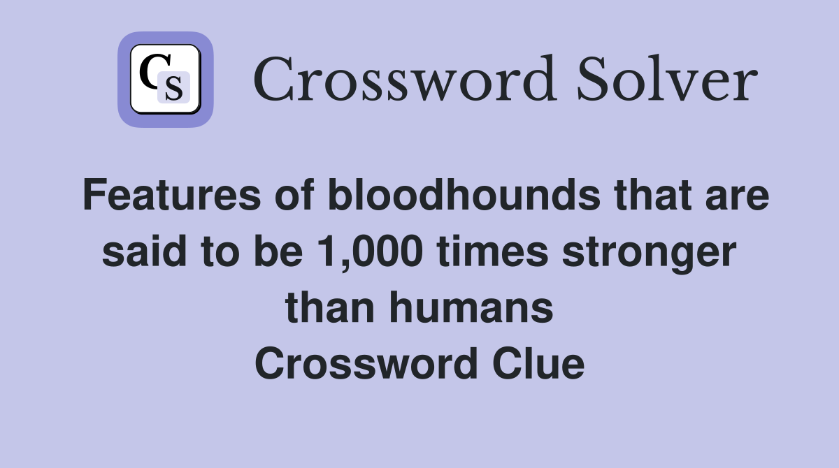 Features of bloodhounds that are said to be 1,000 times stronger than humans Crossword Clue