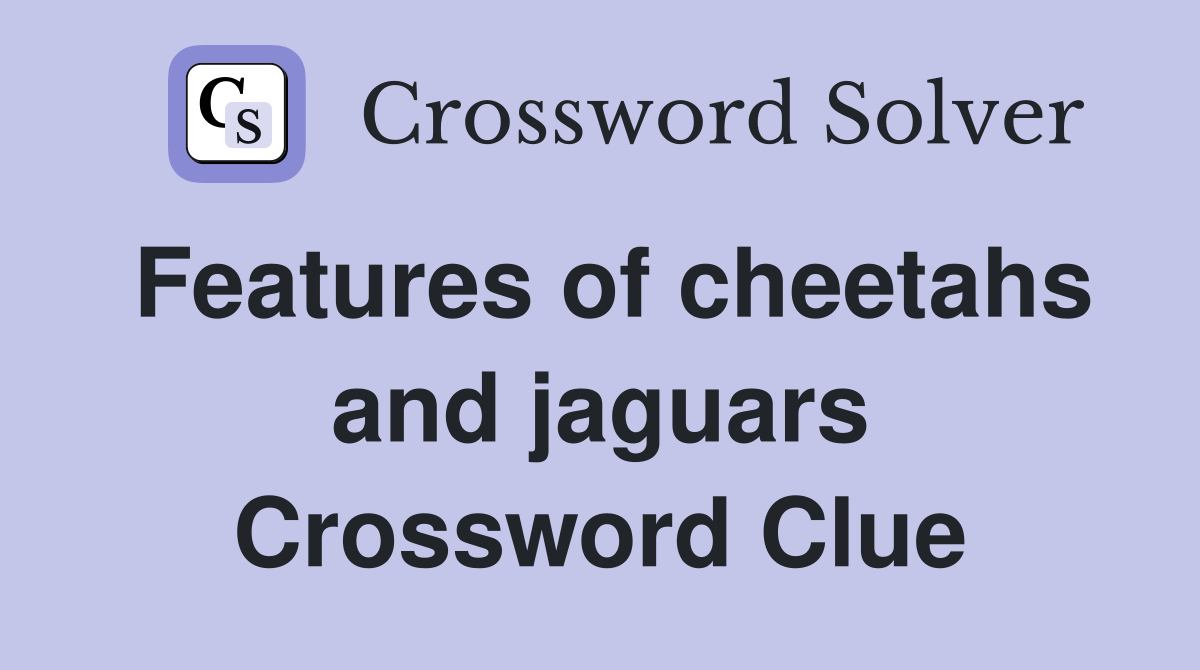 Features of cheetahs and jaguars Crossword Clue