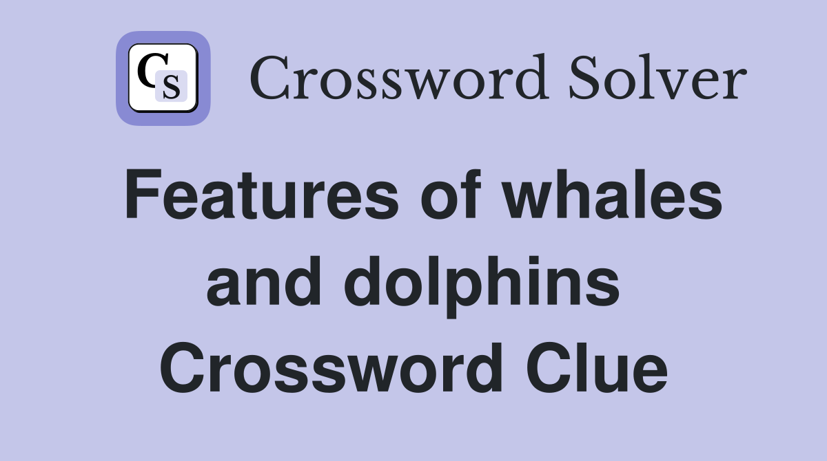 Features of whales and dolphins Crossword Clue