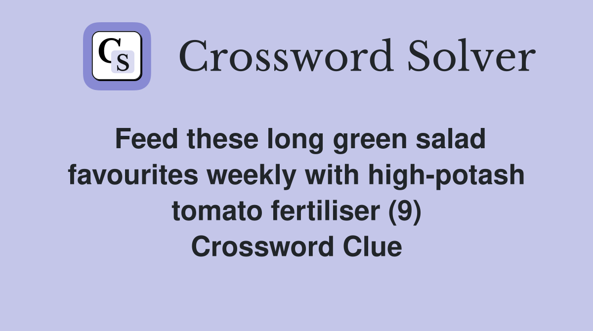Feed these long green salad favourites weekly with high-potash tomato fertiliser (9) Crossword Clue