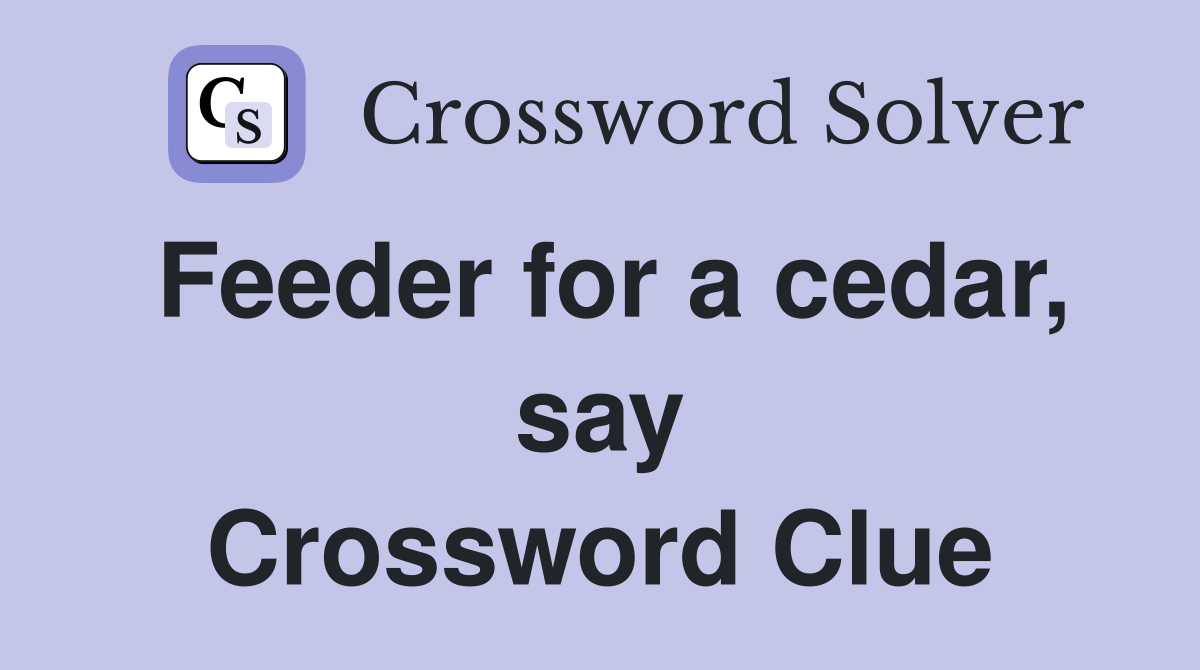 Feeder for a cedar, say Crossword Clue