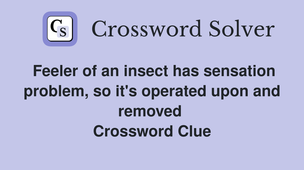 Feeler of an insect has sensation problem, so it's operated upon and removed  Crossword Clue