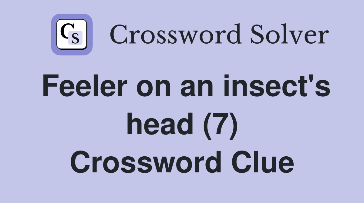 Feeler on an insect's head (7) Crossword Clue