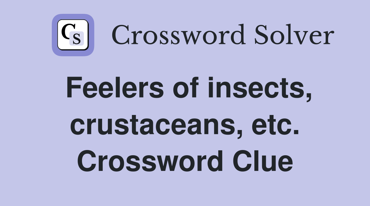 Feelers of insects, crustaceans, etc. Crossword Clue