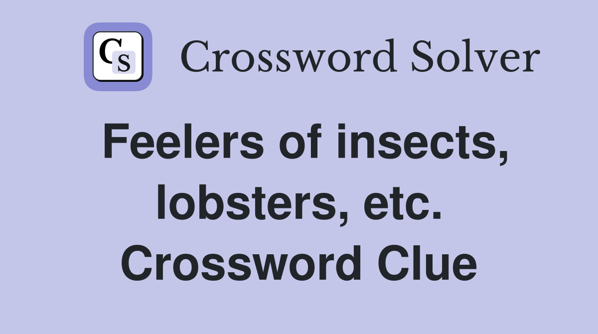Feelers of insects, lobsters, etc. Crossword Clue