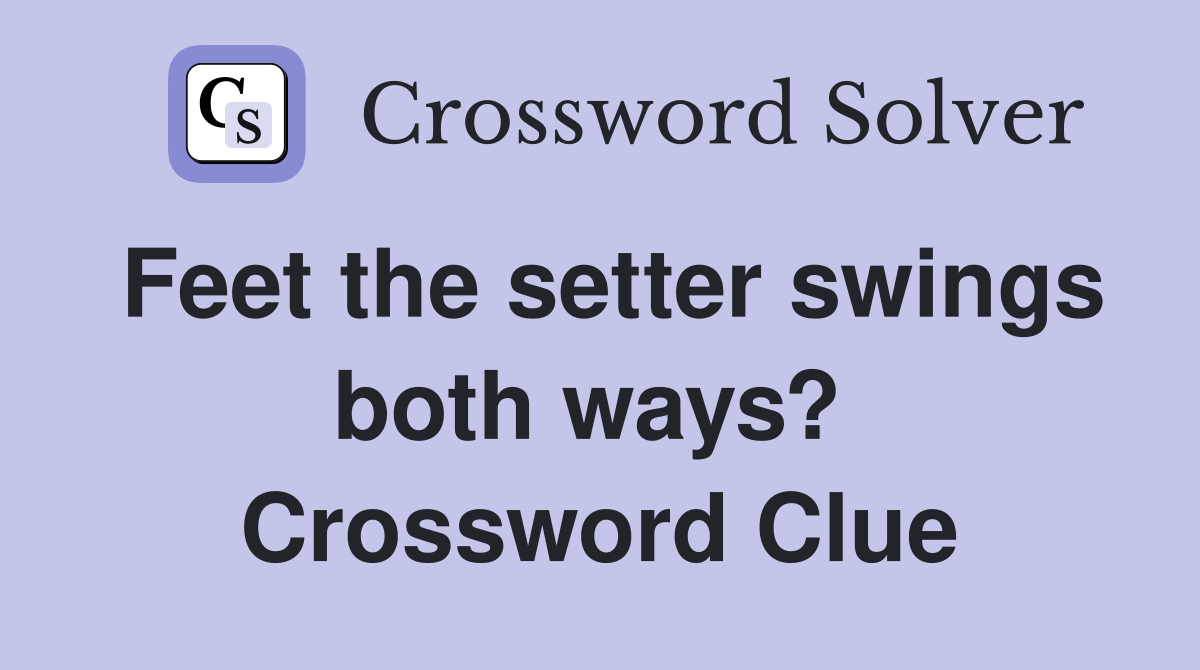 Feet the setter swings both ways?  Crossword Clue