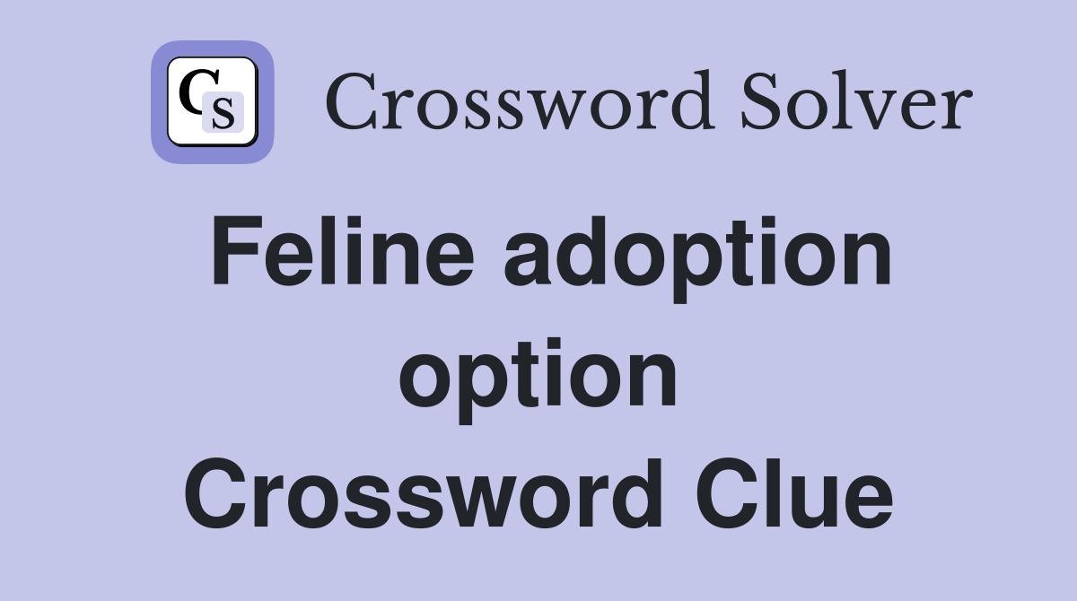 Feline adoption option Crossword Clue