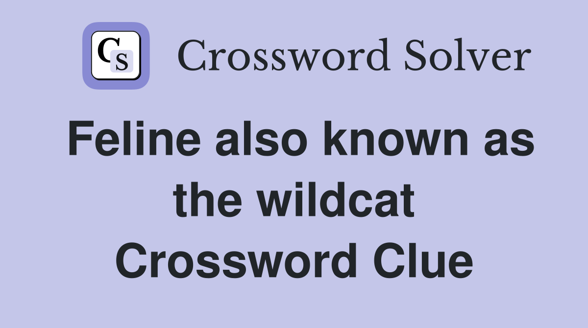 Feline also known as the wildcat Crossword Clue
