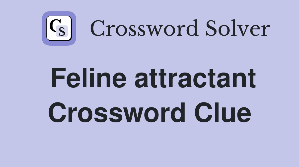 Feline attractant Crossword Clue