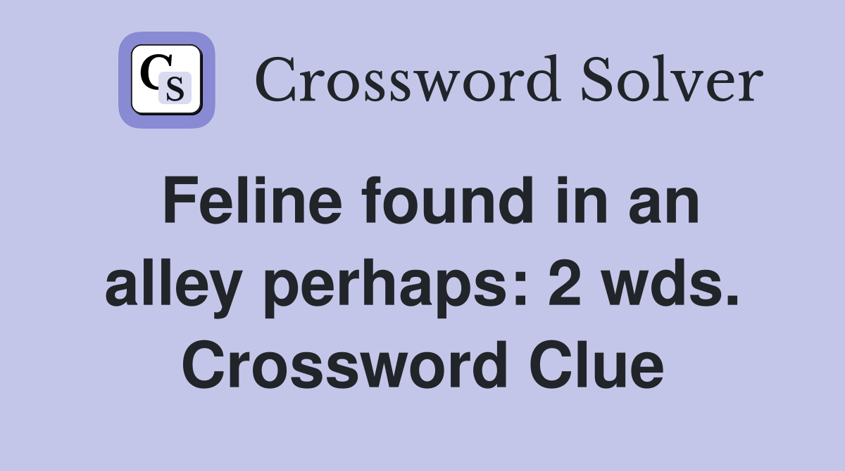 Feline found in an alley perhaps: 2 wds. Crossword Clue