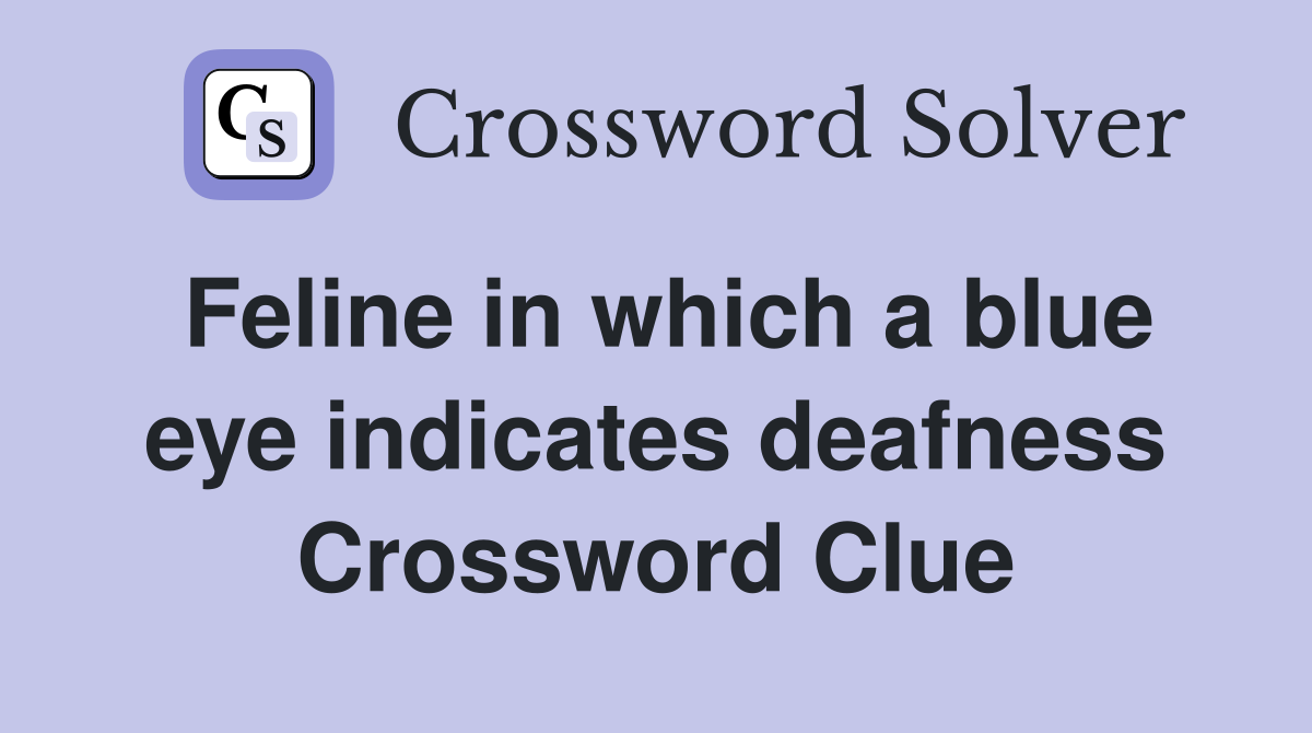 Feline in which a blue eye indicates deafness Crossword Clue