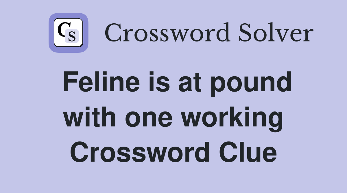 Feline is at pound with one working Crossword Clue