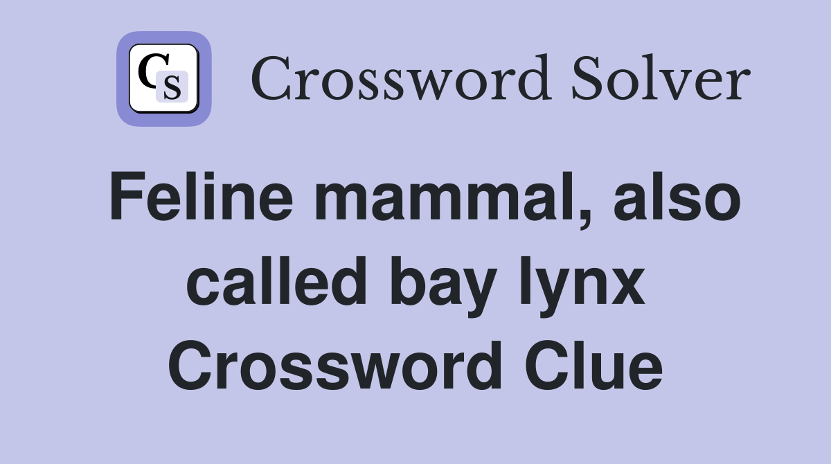 Feline mammal, also called bay lynx Crossword Clue