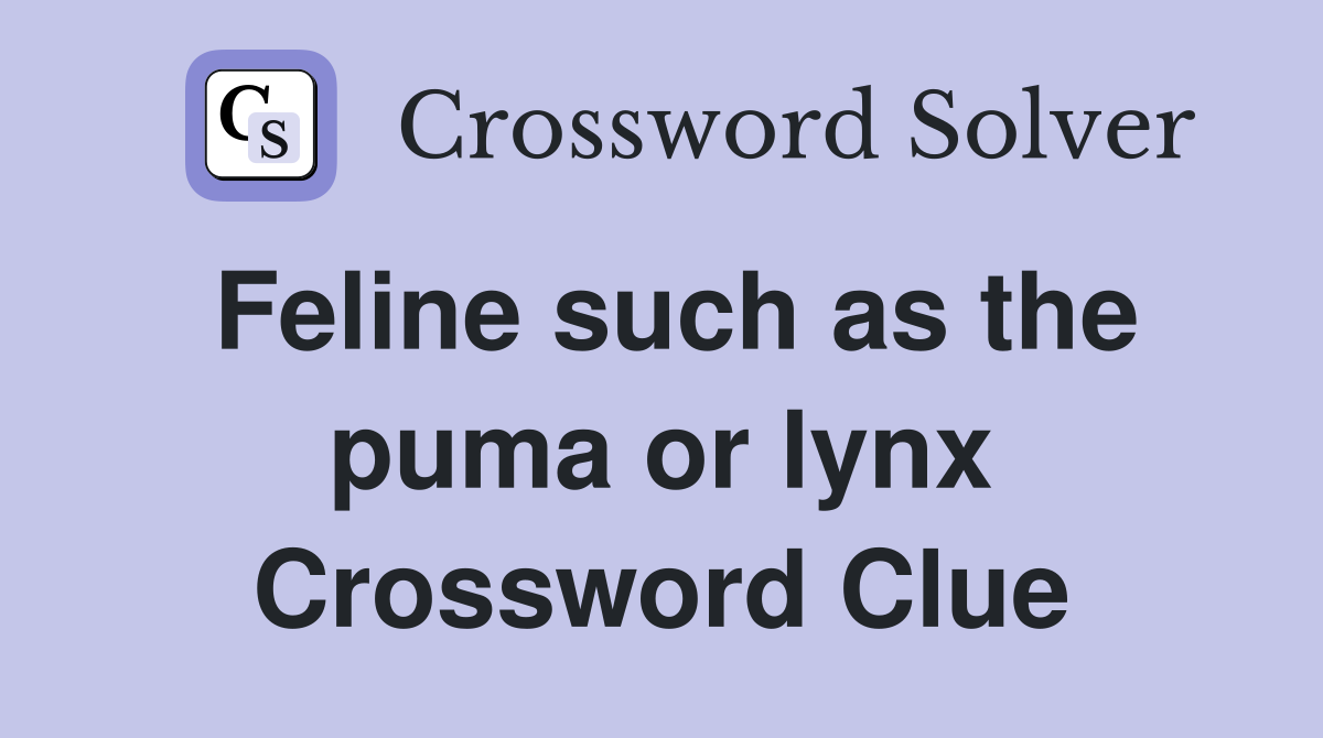 Feline such as the puma or lynx Crossword Clue